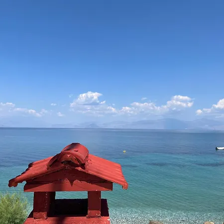 Andrew Seaside